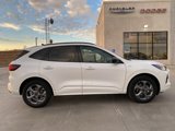 New 2024 Ford Escape ST-Line w/ Equipment Group 301A image 6