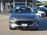Used 2022 Ford Escape SE w/ SE Sport Appearance Package image 2