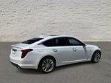 Certified 2023 Cadillac CT5 Premium Luxury w/ Climate Package image 5