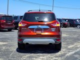 Used 2014 Ford Escape Titanium image 5