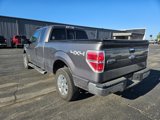 Used 2013 Ford F150 XLT w/ Luxury Equipment Group image 3