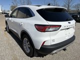 Used 2022 Ford Escape SE w/ Cold Weather Package image 2