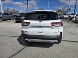 Used 2021 Ford Escape SE image 4