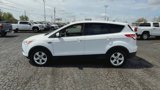Used 2014 Ford Escape SE image 5