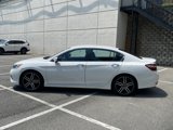 Used 2017 Honda Accord Sport Special Edition image 4