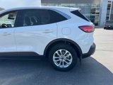 Certified 2022 Ford Escape SE image 4