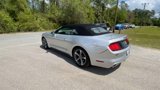 Used 2017 Ford Mustang Convertible w/ Equipment Group 051A image 6