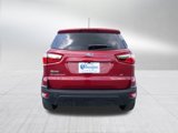 Used 2021 Ford EcoSport SE image 4