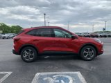 New 2025 Ford Escape ST-Line w/ Equipment Group 301A image 4