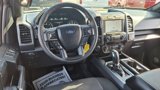 Used 2019 Ford F150 XLT w/ Equipment Group 302A Luxury image 3