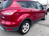 Used 2014 Ford Escape SE image 5