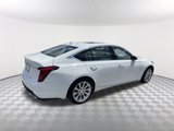 Certified 2022 Cadillac CT5 Luxury w/ Sun And Sound Package image 6