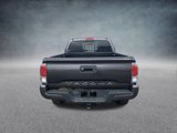 Used 2022 Toyota Tacoma TRD Sport w/ TRD Premium Sport Package image 4