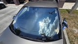 Used 2016 Tesla Model S 70 image 4