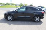 Used 2020 Ford Escape SE image 3