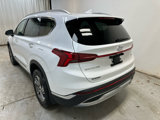Used 2022 Hyundai Santa Fe SEL w/ Convenience + Premium Package image 4