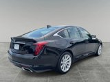 Used 2023 Cadillac CT5 Luxury w/ Sun And Sound Package image 5