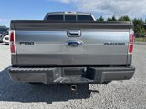 Used 2013 Ford F150 Platinum image 6