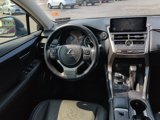 Used 2021 Lexus NX 300 AWD w/ Premium Package image 3