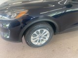 Used 2021 Ford Escape SE w/ Convenience Package image 4
