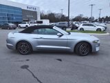 Certified 2022 Ford Mustang Premium image 2