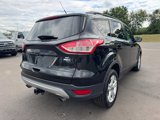 Used 2014 Ford Escape SE w/ Leather Comfort Package image 5