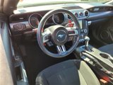 Used 2018 Ford Mustang Coupe w/ Ecoboost Performance Package image 4