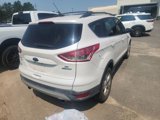 Used 2013 Ford Escape SE image 5