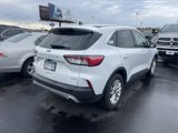 Used 2020 Ford Escape SE image 2