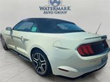 Used 2022 Ford Mustang Premium image 2