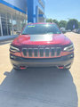 Used 2019 Jeep Cherokee Trailhawk w/ Cold Weather Group image 3
