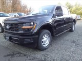 New 2024 Ford F150 XL image 3