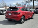 Used 2024 Ford Escape ST-Line w/ Tech Pack #1 image 2