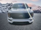 Certified 2021 Ford F150 XLT w/ Equipment Group 302A High image 4
