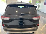 Used 2020 Ford Escape SEL image 5