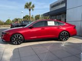 Used 2024 Honda Accord Touring image 5