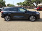 Used 2024 Ford Escape ST-Line image 5