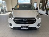 Used 2019 Ford Escape SE image 6