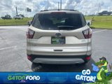 Used 2018 Ford Escape SEL image 5