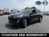 Used 2022 Ford Escape SEL image 4