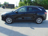 Used 2020 Ford Escape SE image 5