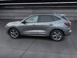 Used 2024 Ford Escape ST-Line w/ Cold Weather Package image 5