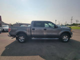 Used 2010 Ford F150 XLT image 4