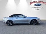 Certified 2022 Ford Mustang Premium image 2