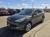 Used 2016 Ford Escape SE w/ SE Leather Comfort Package image 3