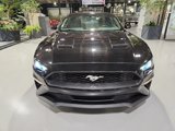 Used 2019 Ford Mustang Coupe w/ Equipment Group 101A image 3