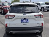 Used 2020 Ford Escape Titanium image 3