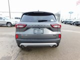 New 2025 Ford Escape Active w/ Active Premium Tech Pack image 4