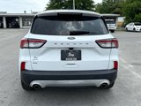 Used 2020 Ford Escape SE image 4