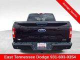 Used 2020 Ford F150 XL w/ Equipment Group 101A Mid image 6